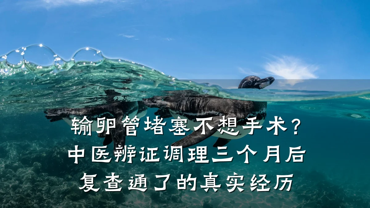 输卵管堵塞不想手术?中医辨证调理三个月后复查通了的真实经历