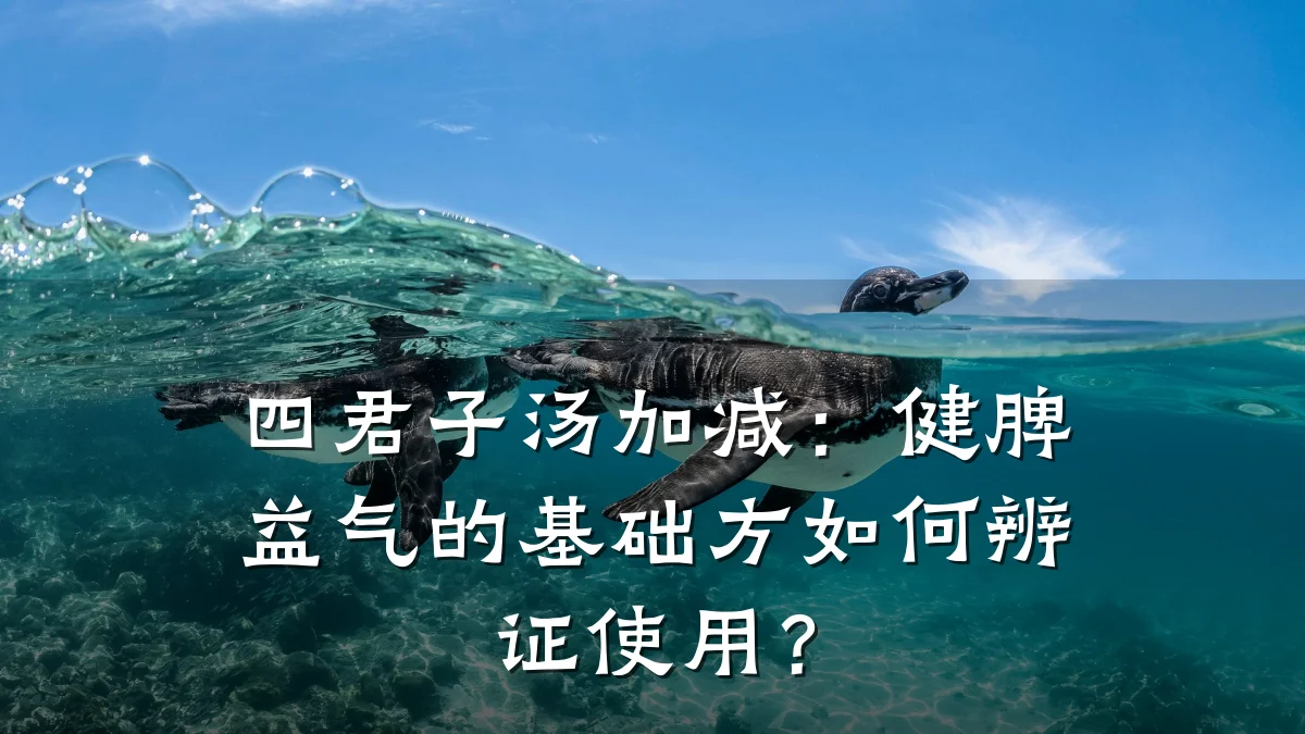四君子汤加减:健脾益气的基础方如何辨证使用?