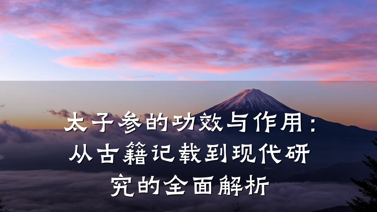 太子参的功效与作用：从古籍记载到现代研究的全面解析