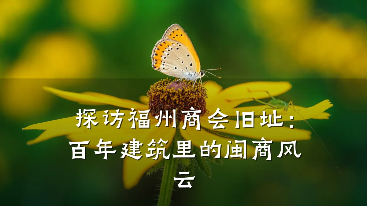 探访福州商会旧址:百年建筑里的闽商风云