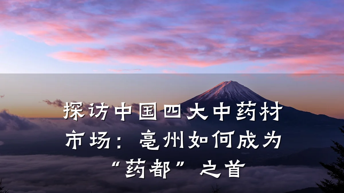 探访中国四大中药材市场:亳州如何成为“药都”之首