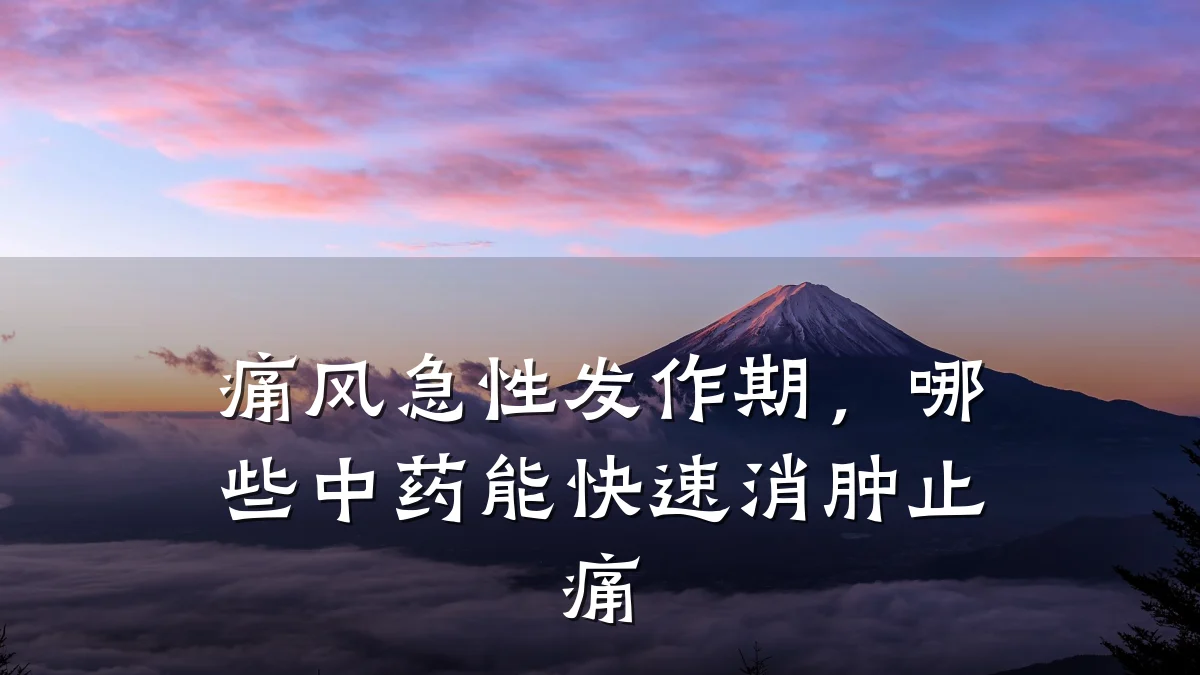 痛风急性发作期，哪些中药能快速消肿止痛