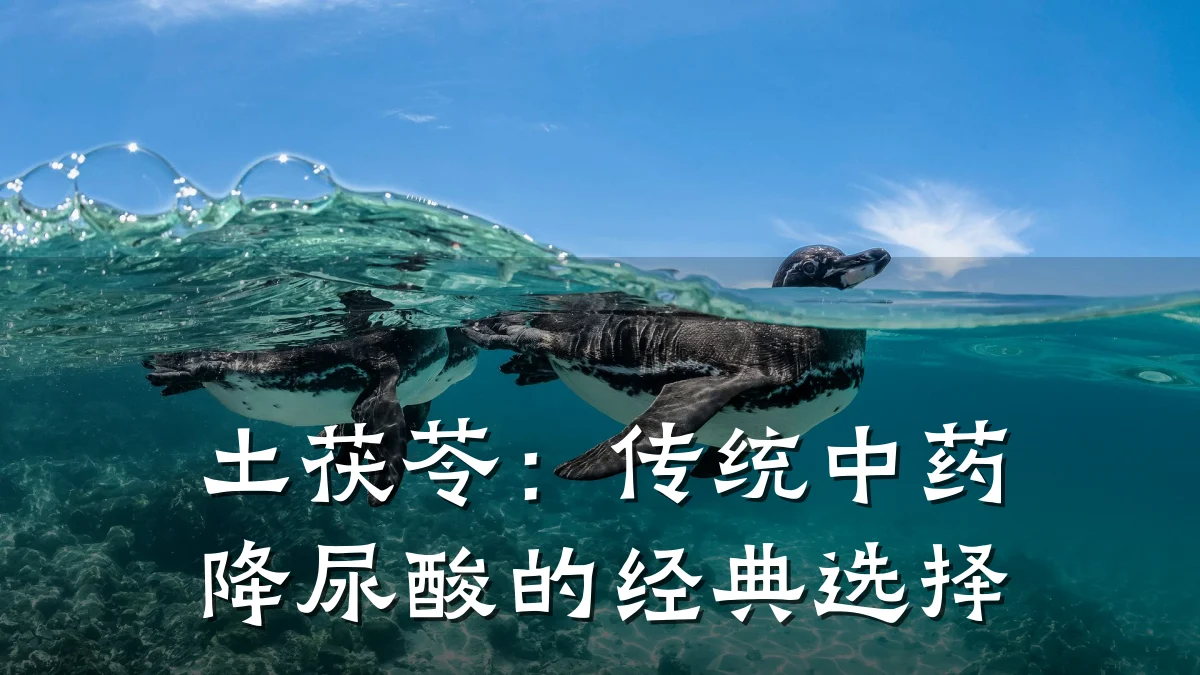 土茯苓:传统中药降尿酸的经典选择