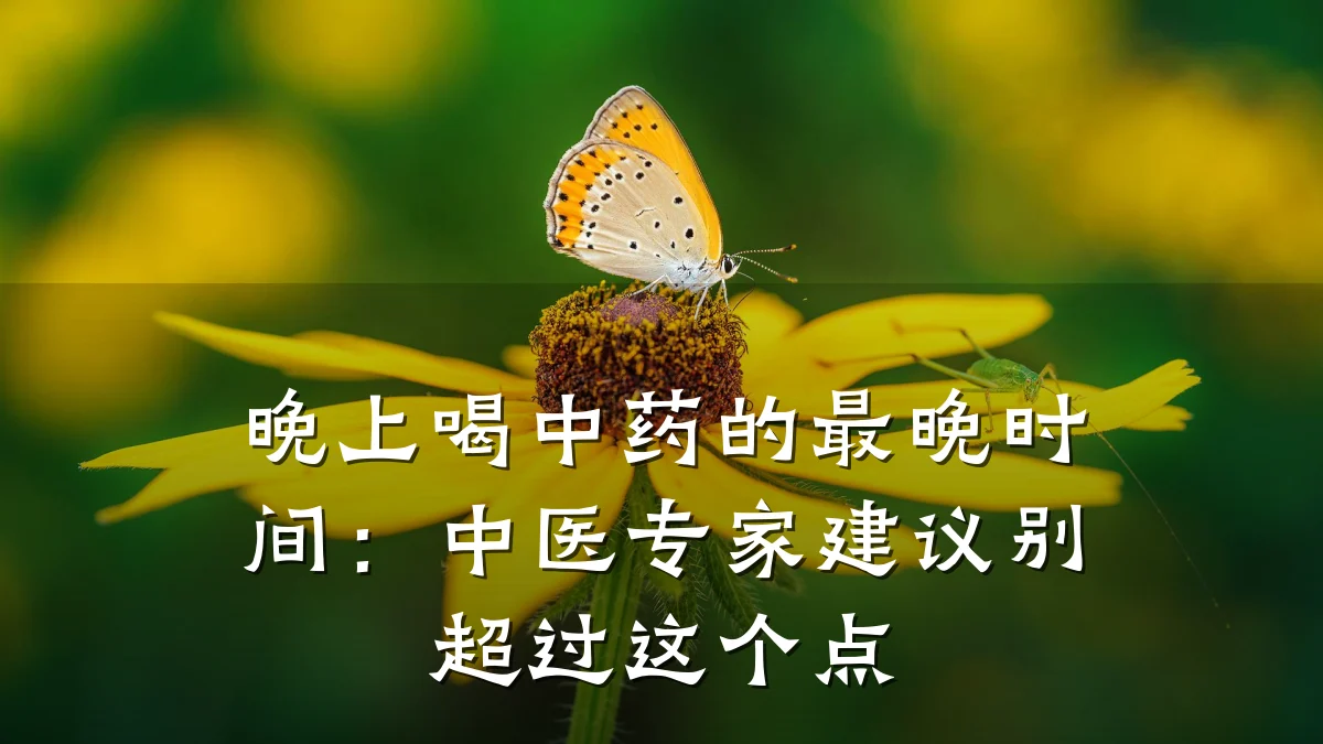晚上喝中药的最晚时间:中医专家建议别超过这个点