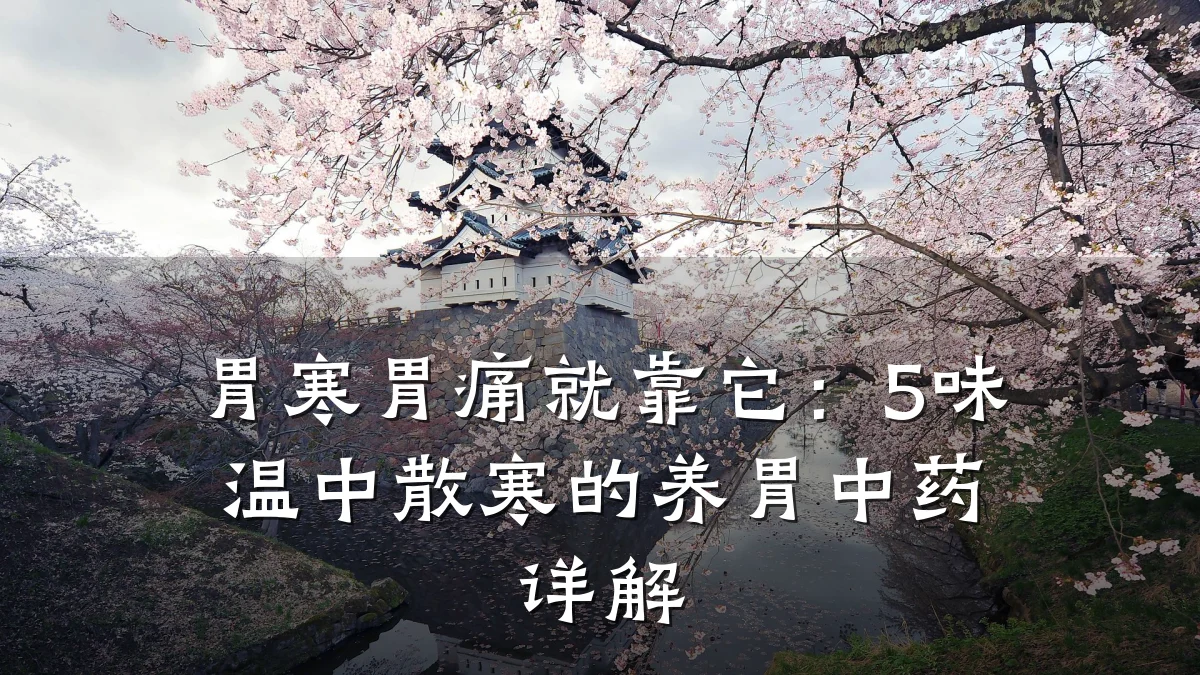 胃寒胃痛就靠它:5味温中散寒的养胃中药详解