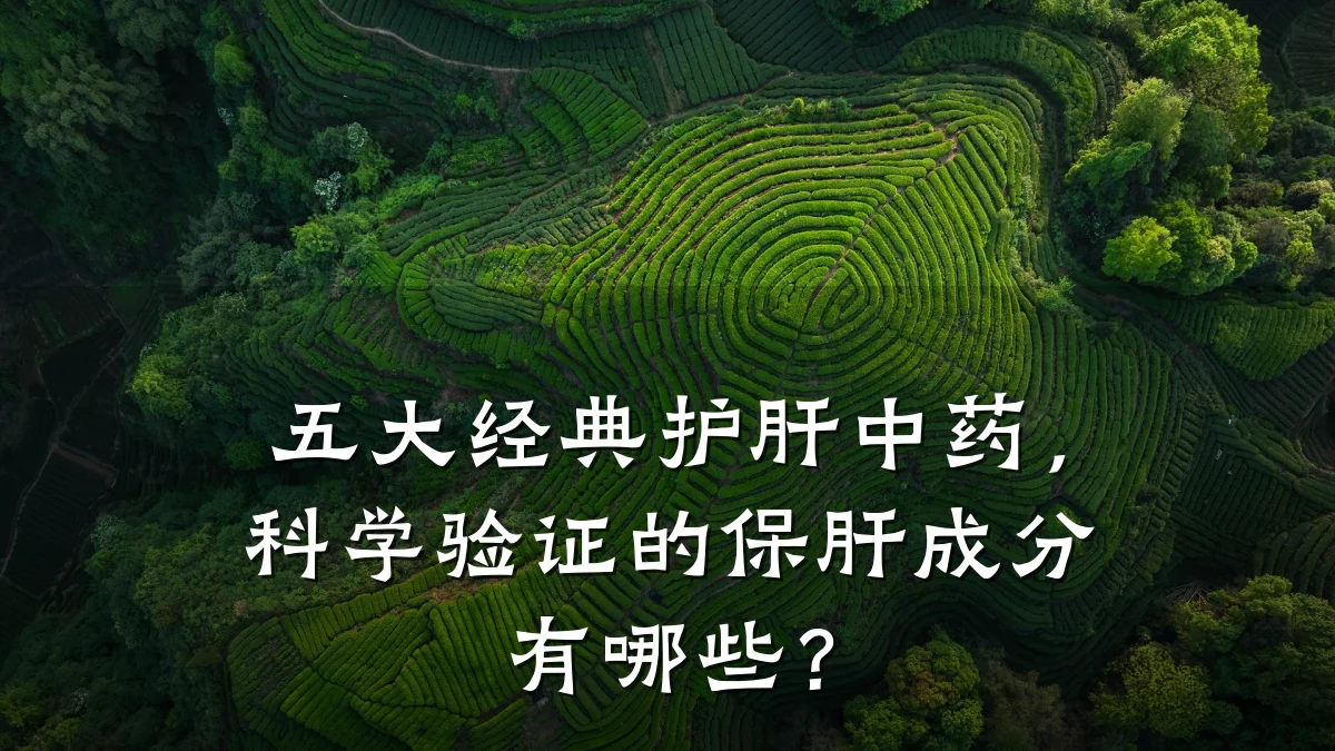 五大经典护肝中药,科学验证的保肝成分有哪些?