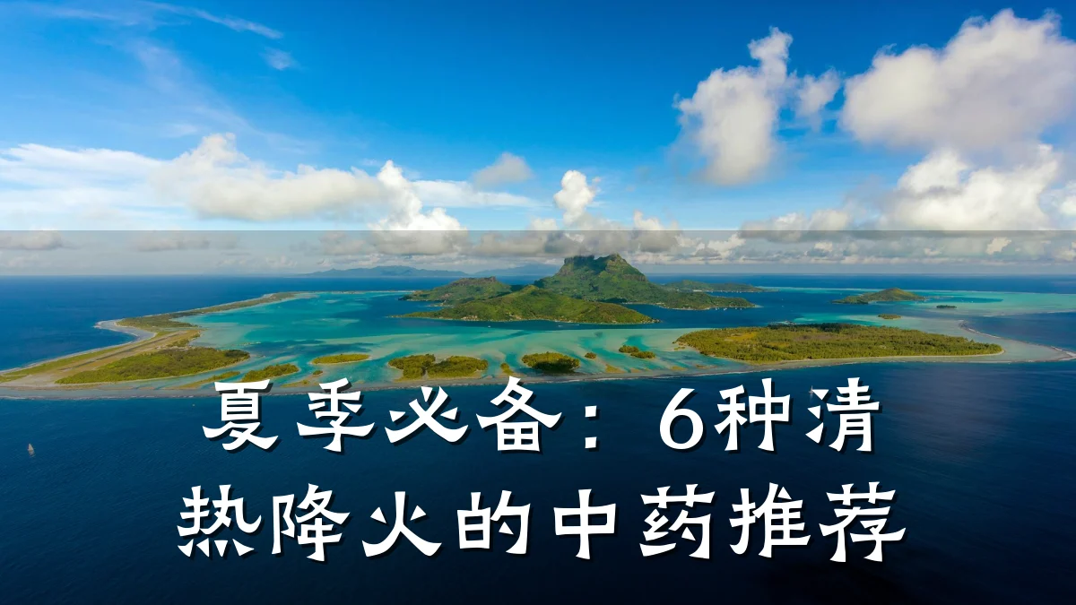 夏季必备:6种清热降火的中药推荐
