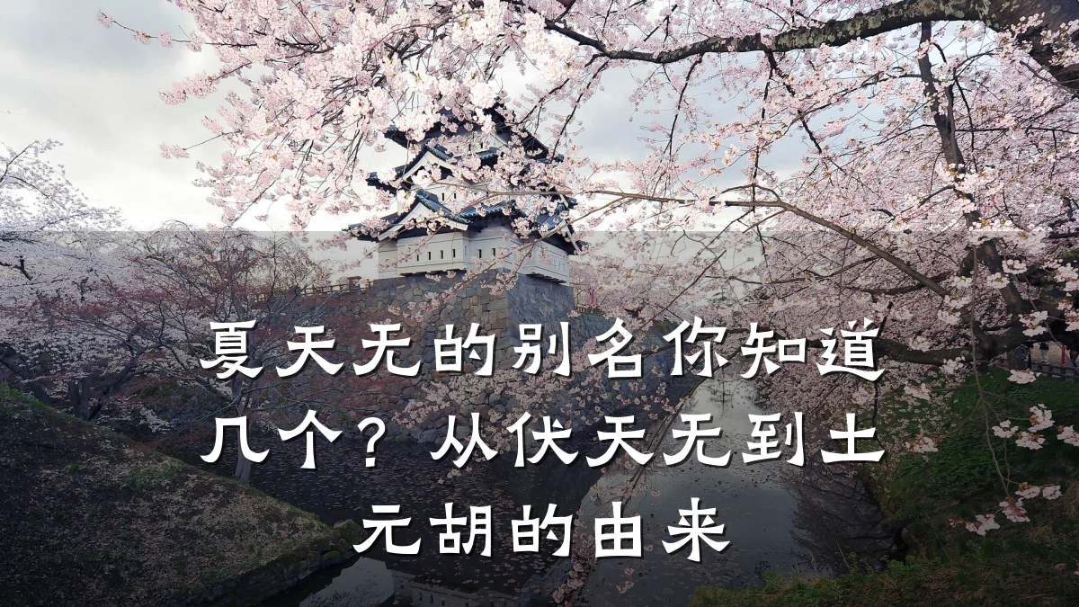 夏天无的别名你知道几个?从伏天无到土元胡的由来