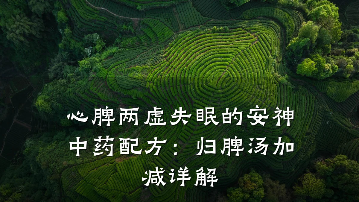 心脾两虚失眠的安神中药配方：归脾汤加减详解