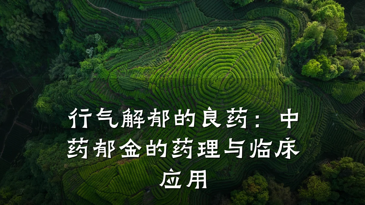 行气解郁的良药:中药郁金的药理与临床应用