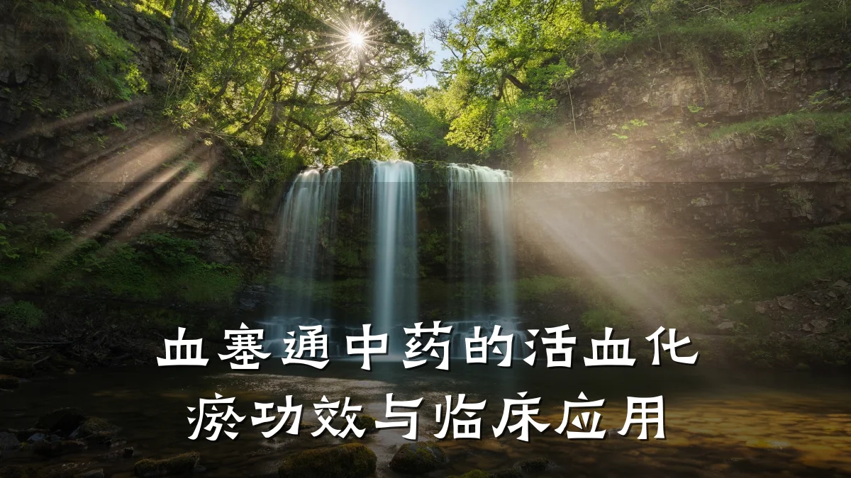 血塞通中药的活血化瘀功效与临床应用