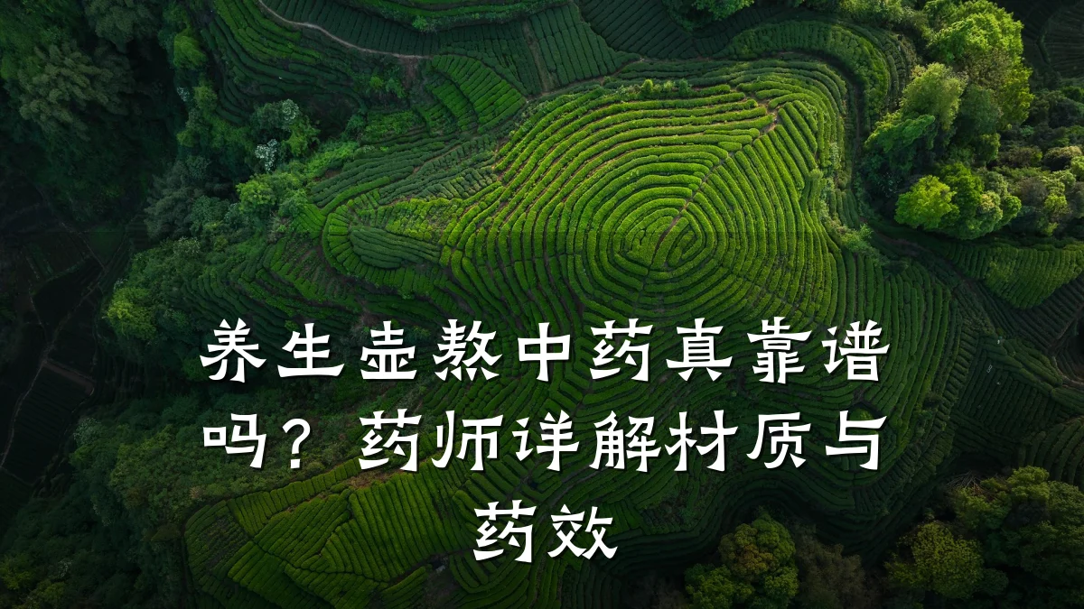 养生壶熬中药真靠谱吗？药师详解材质与药效