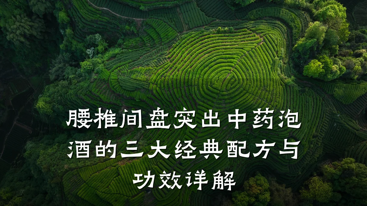 腰椎间盘突出中药泡酒的三大经典配方与功效详解