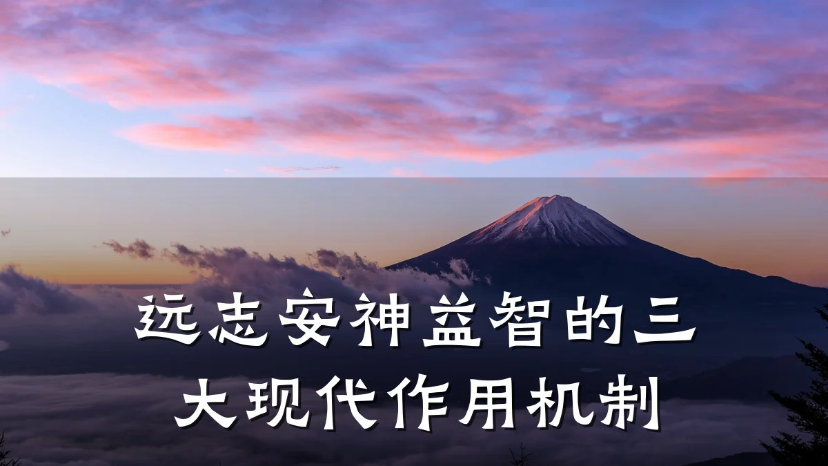 远志安神益智的三大现代作用机制