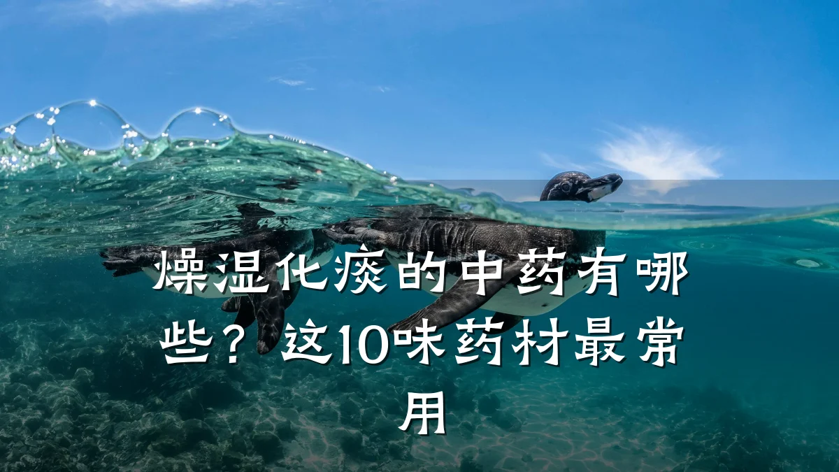 燥湿化痰的中药有哪些？这10味药材最常用