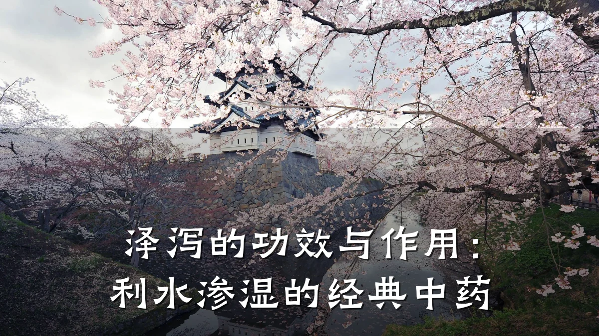 泽泻的功效与作用:利水渗湿的经典中药