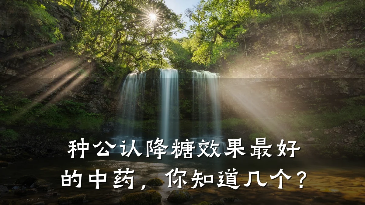 种公认降糖效果最好的中药,你知道几个?