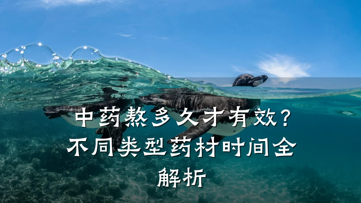 中药熬多久才有效？不同类型药材时间全解析