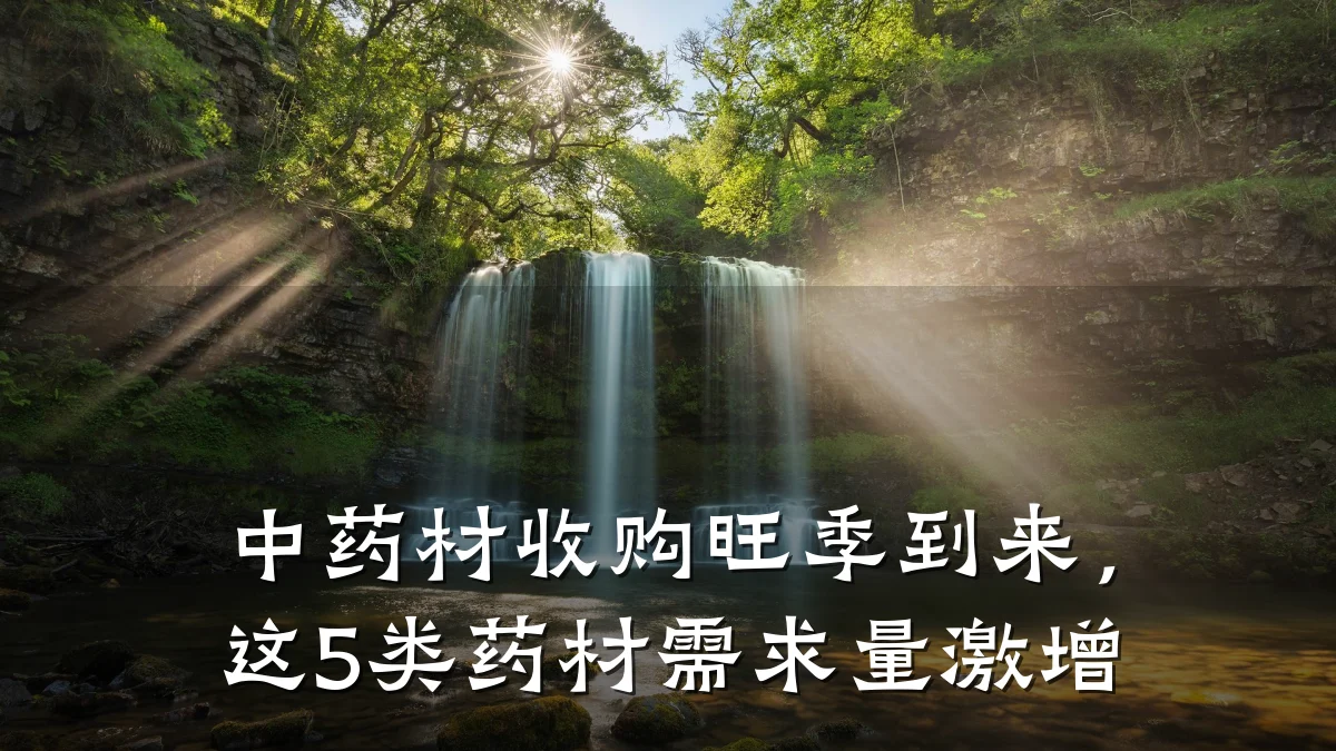 中药材收购旺季到来,这5类药材需求量激增