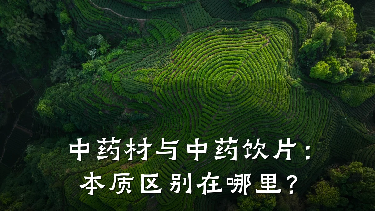 中药材与中药饮片：本质区别在哪里？