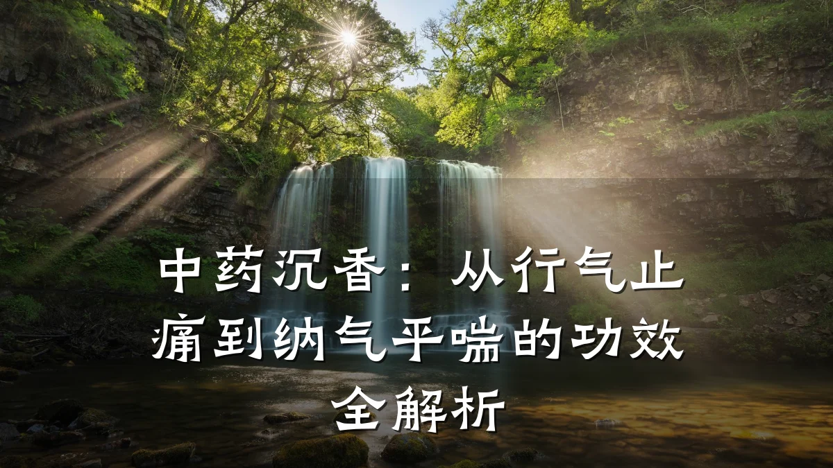 中药沉香:从行气止痛到纳气平喘的功效全解析