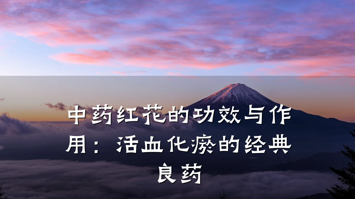 中药红花的功效与作用:活血化瘀的经典良药