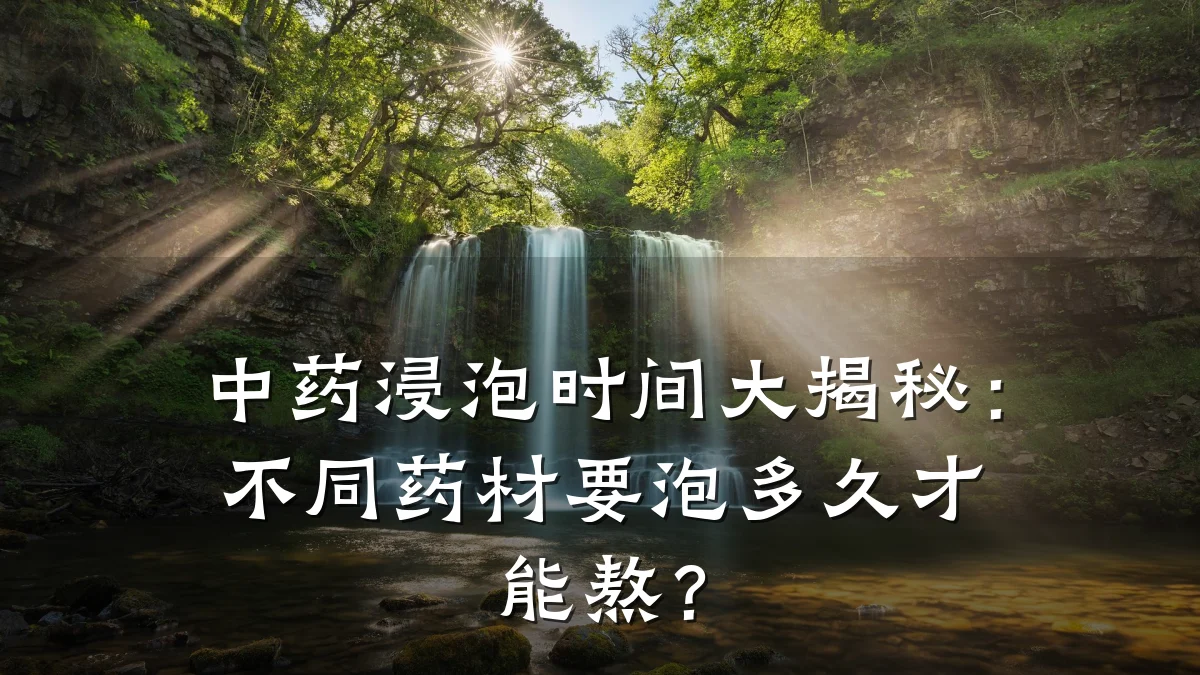 中药浸泡时间大揭秘：不同药材要泡多久才能熬？
