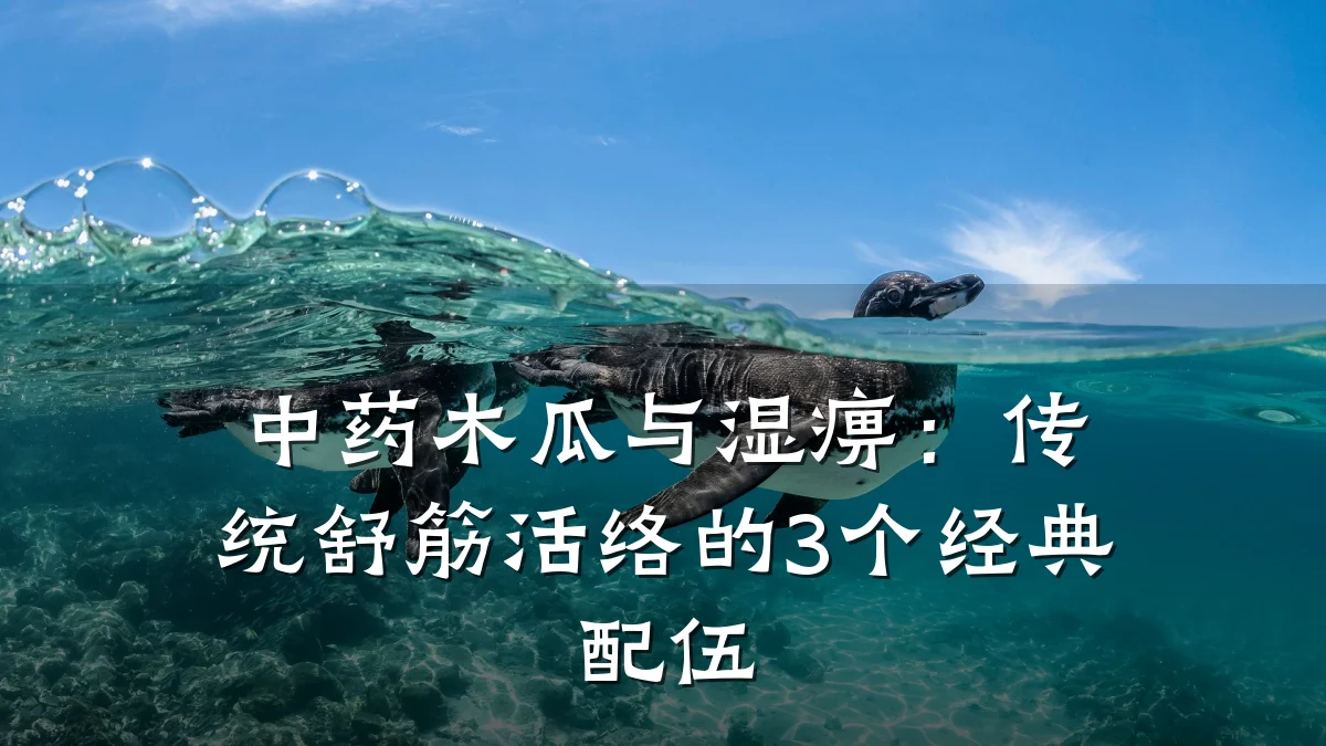 中药木瓜与湿痹:传统舒筋活络的3个经典配伍