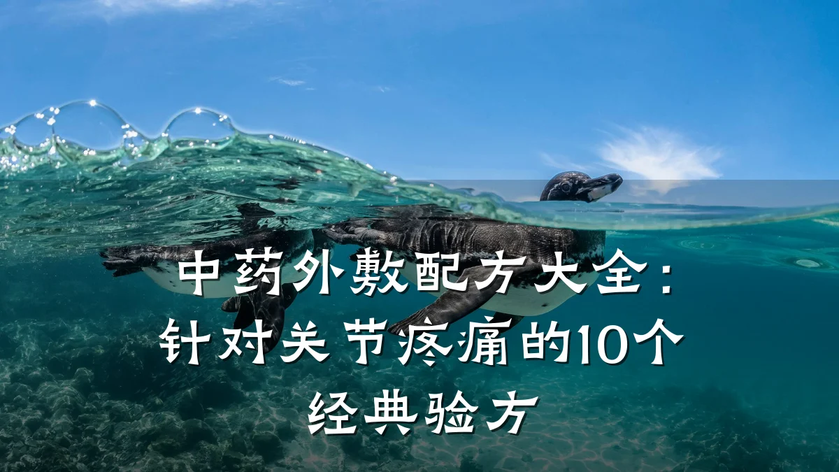 中药外敷配方大全：针对关节疼痛的10个经典验方