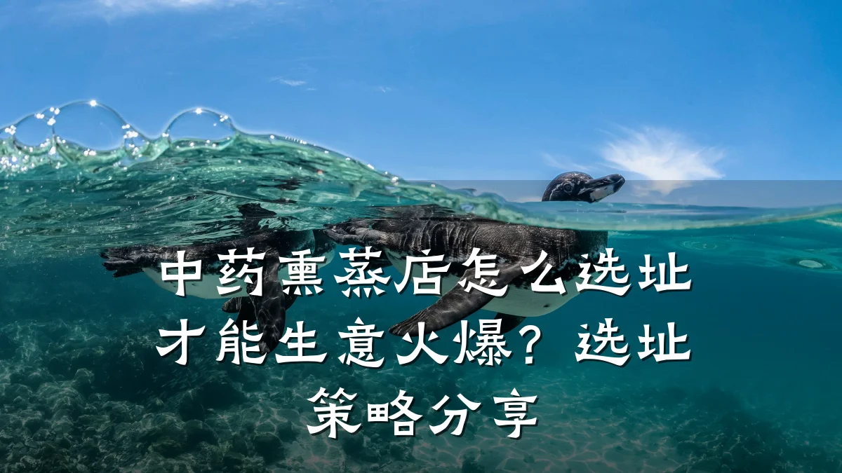 中药熏蒸店怎么选址才能生意火爆？选址策略分享