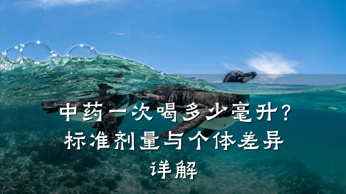 中药一次喝多少毫升？标准剂量与个体差异详解