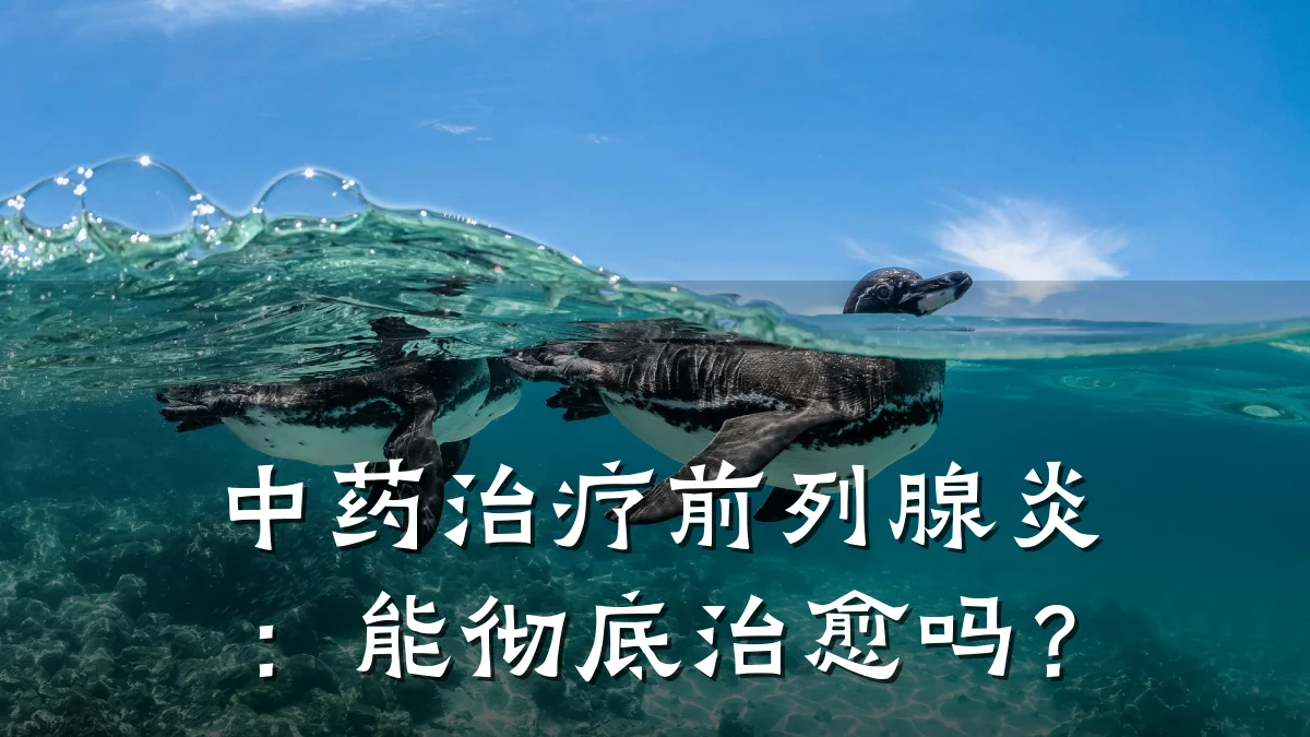 中药治疗前列腺炎:能彻底治愈吗?