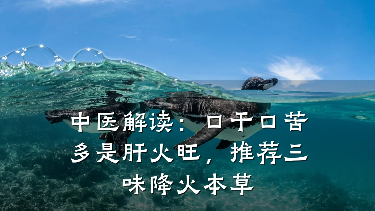 中医解读:口干口苦多是肝火旺,推荐三味降火本草