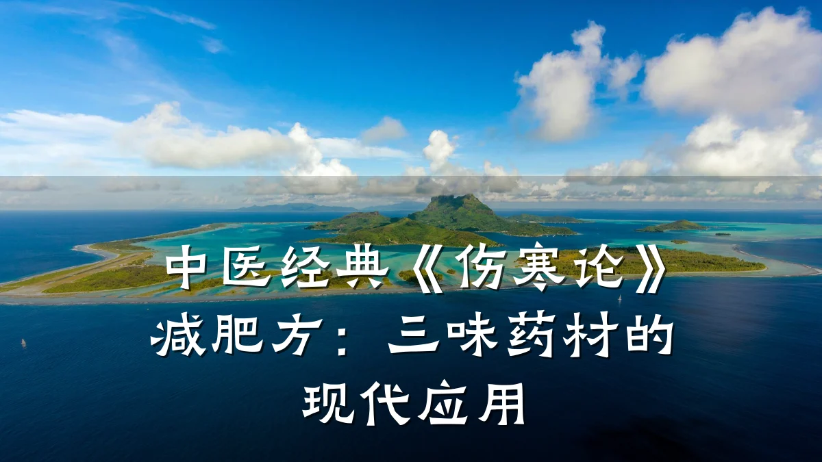 中医经典《伤寒论》减肥方:三味药材的现代应用