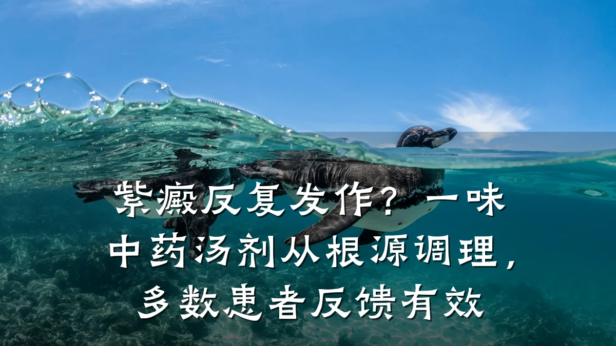 紫癜反复发作?一味中药汤剂从根源调理,多数患者反馈有效