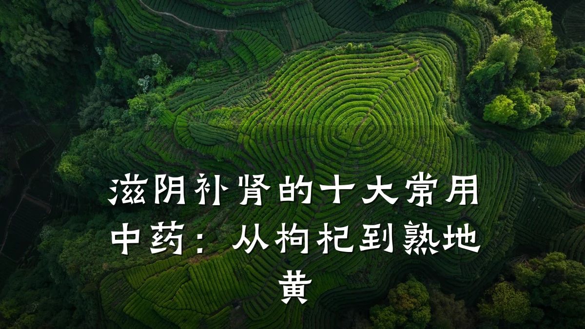 滋阴补肾的十大常用中药：从枸杞到熟地黄