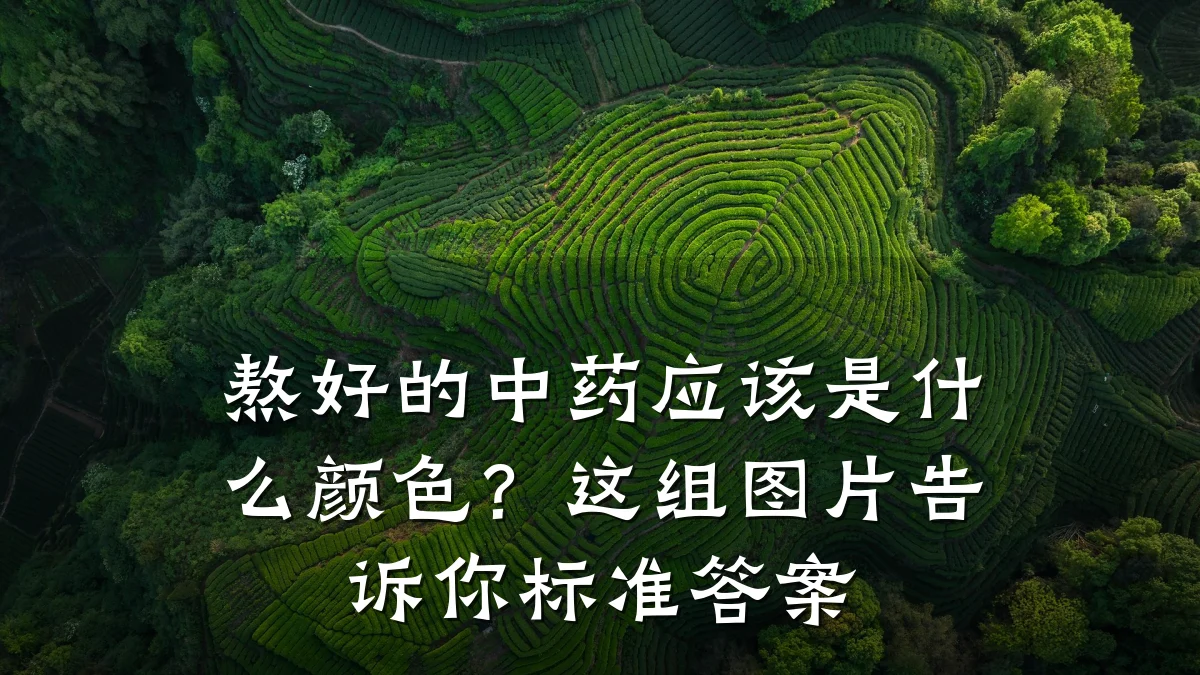 熬好的中药应该是什么颜色?这组图片告诉你标准答案