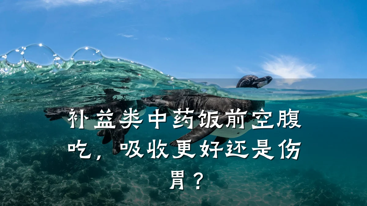 补益类中药饭前空腹吃,吸收更好还是伤胃?