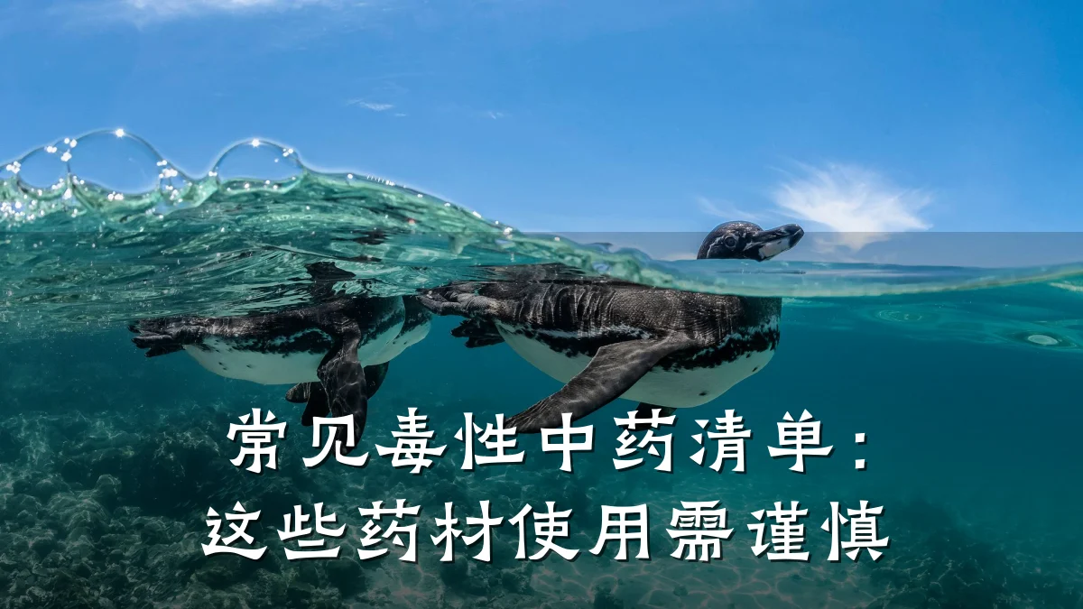 常见毒性中药清单:这些药材使用需谨慎