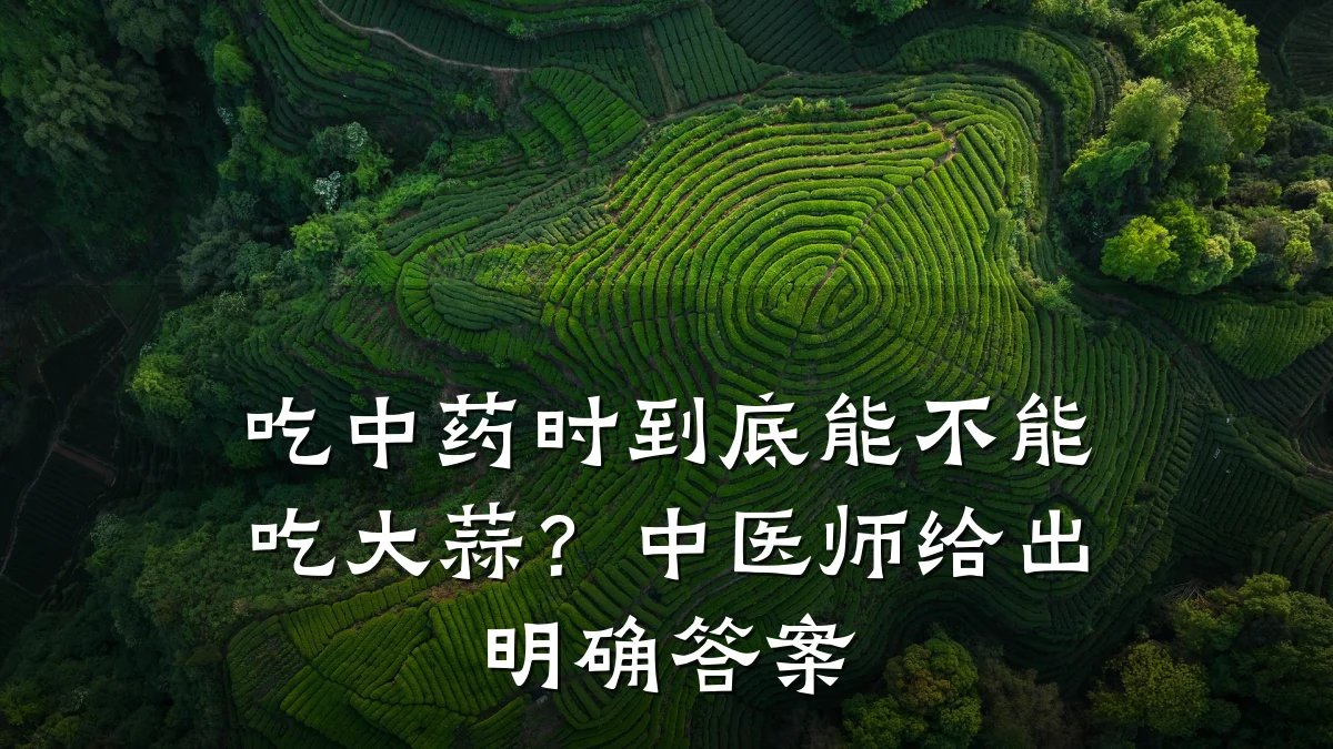 吃中药时到底能不能吃大蒜?中医师给出明确答案