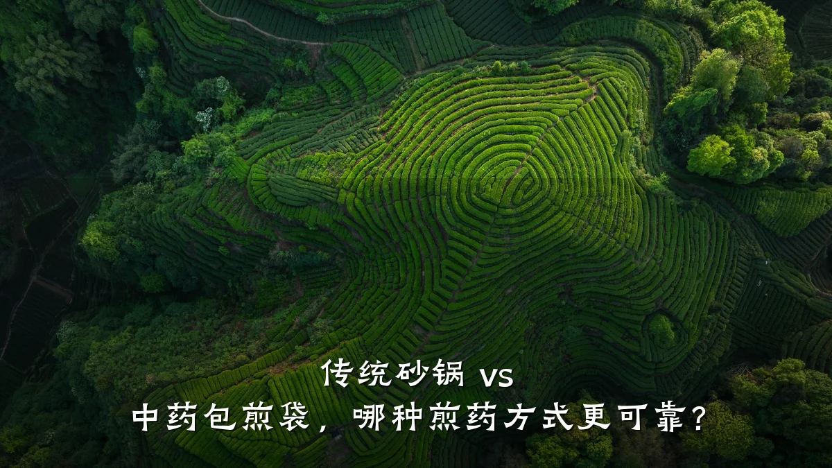 传统砂锅 vs 中药包煎袋,哪种煎药方式更可靠?