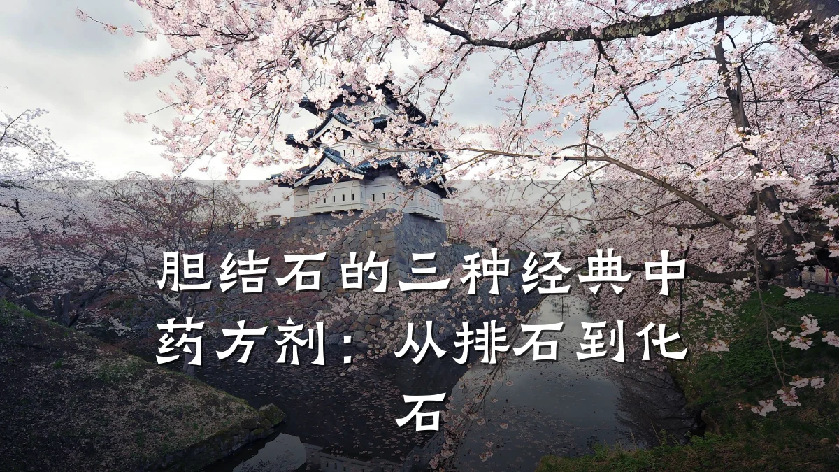 胆结石的三种经典中药方剂:从排石到化石