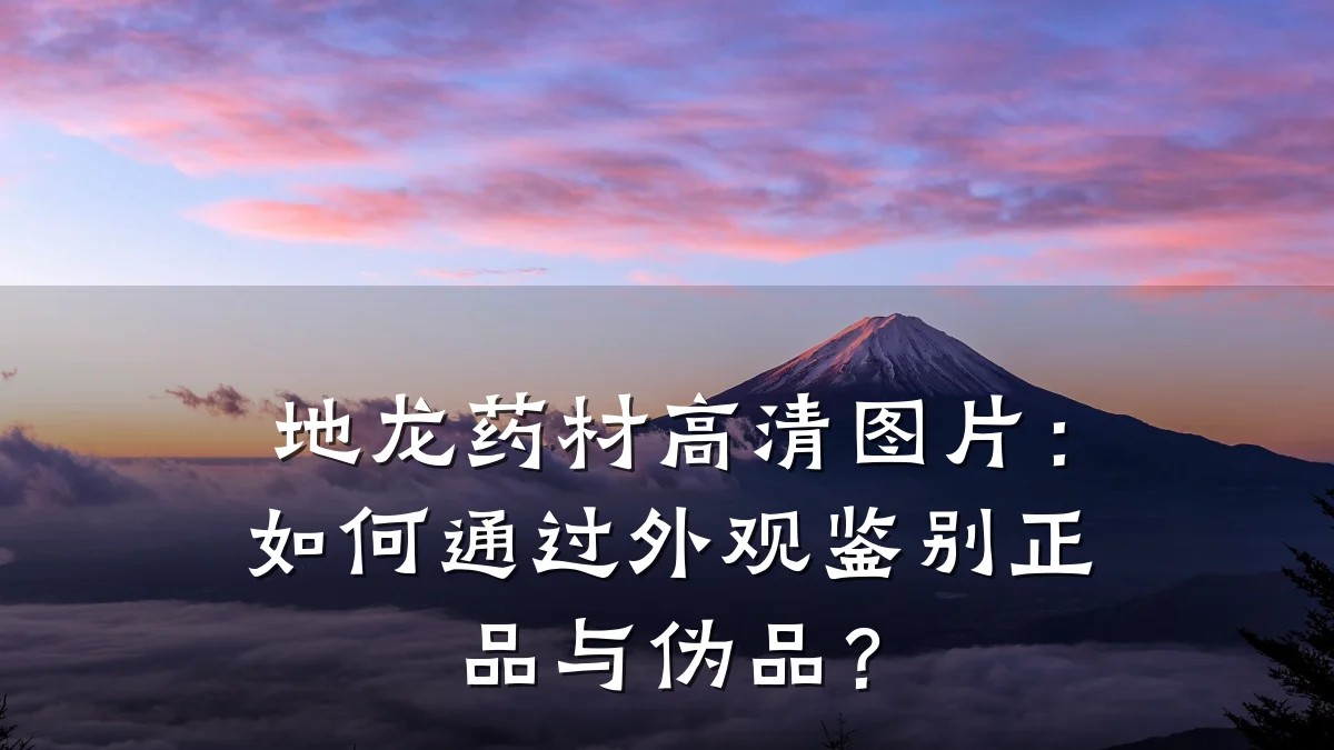 地龙药材高清图片:如何通过外观鉴别正品与伪品?