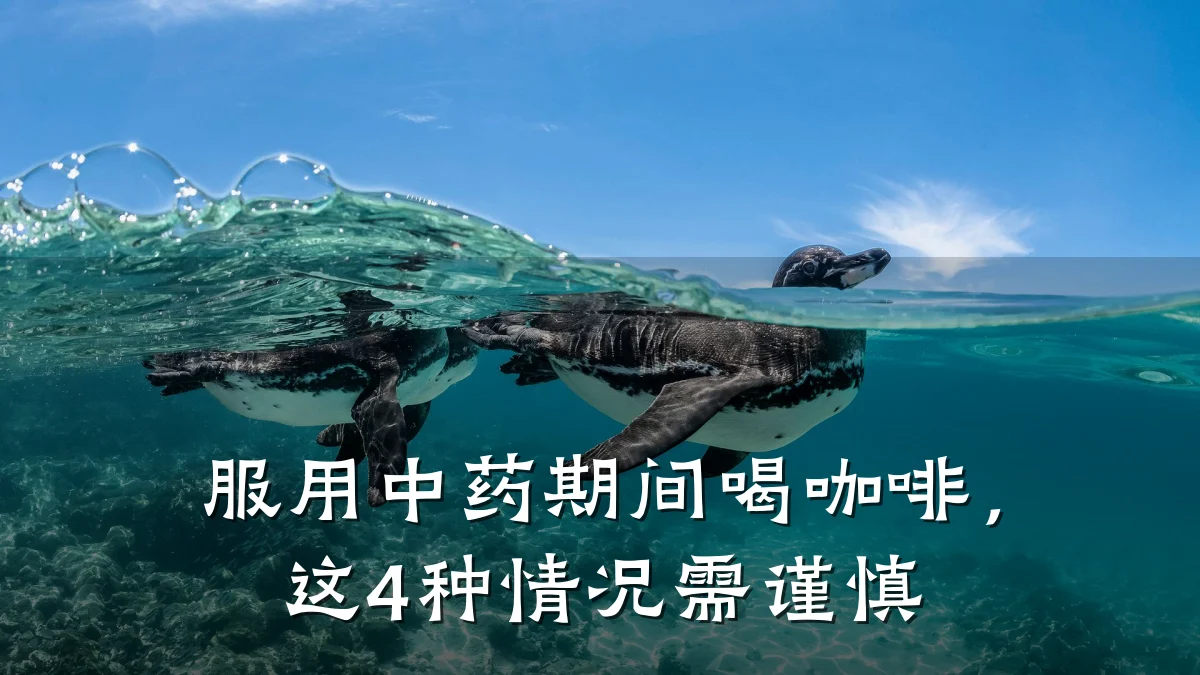 服用中药期间喝咖啡,这4种情况需谨慎