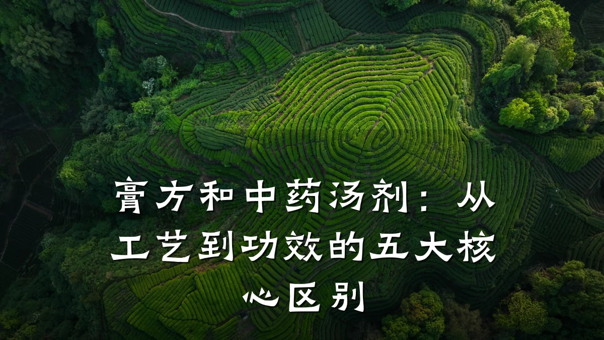 膏方和中药汤剂：从工艺到功效的五大核心区别