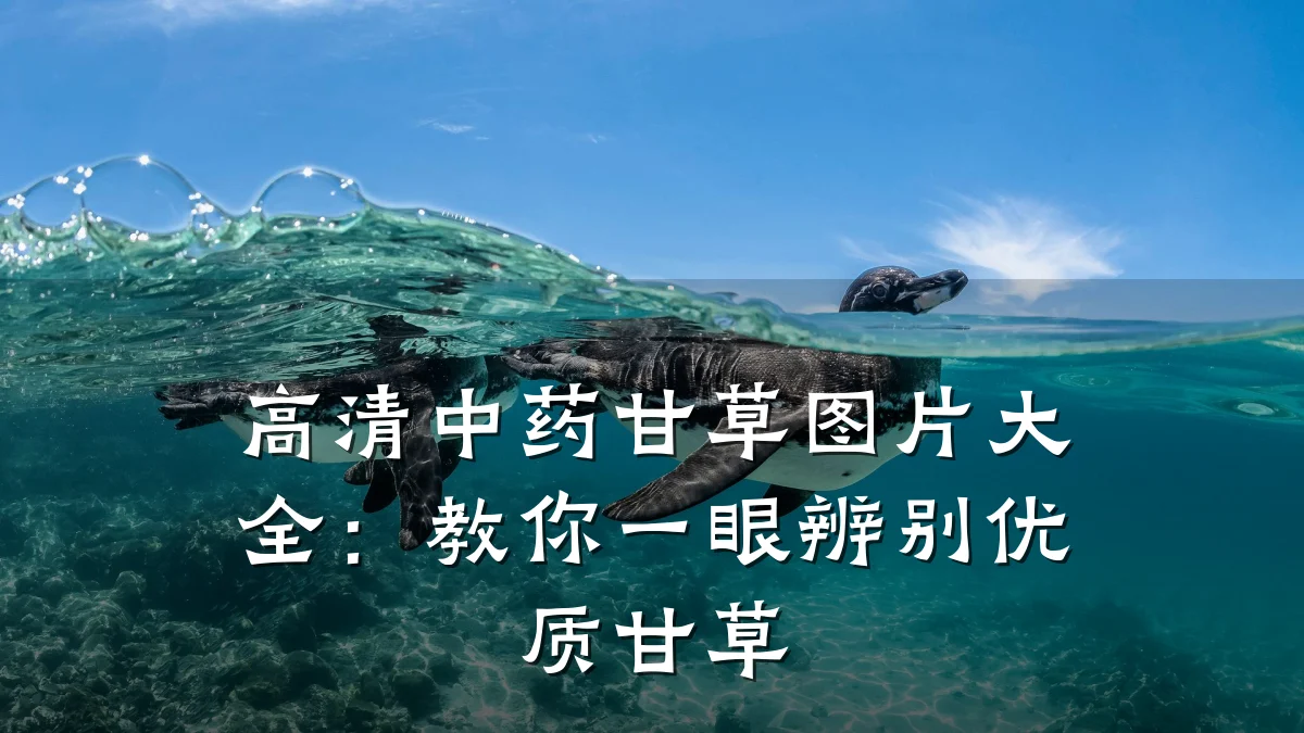 高清中药甘草图片大全：教你一眼辨别优质甘草