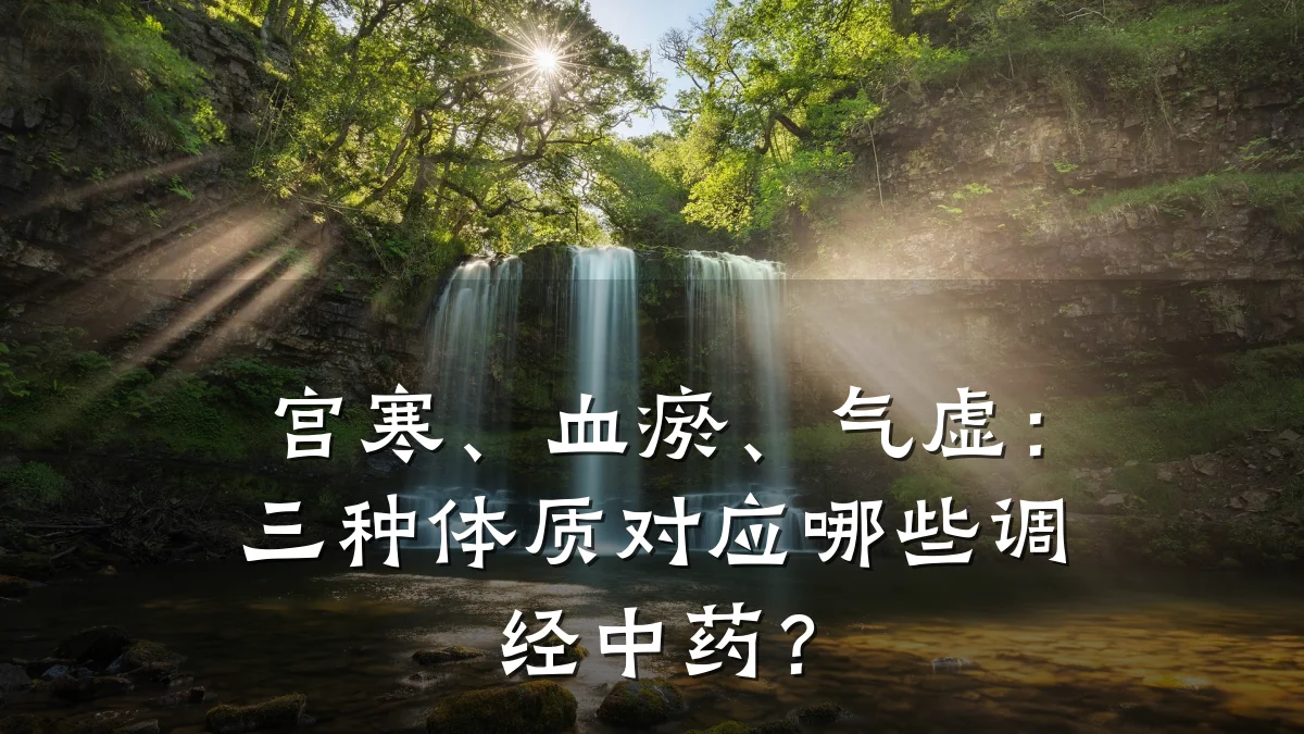 宫寒、血瘀、气虚:三种体质对应哪些调经中药?