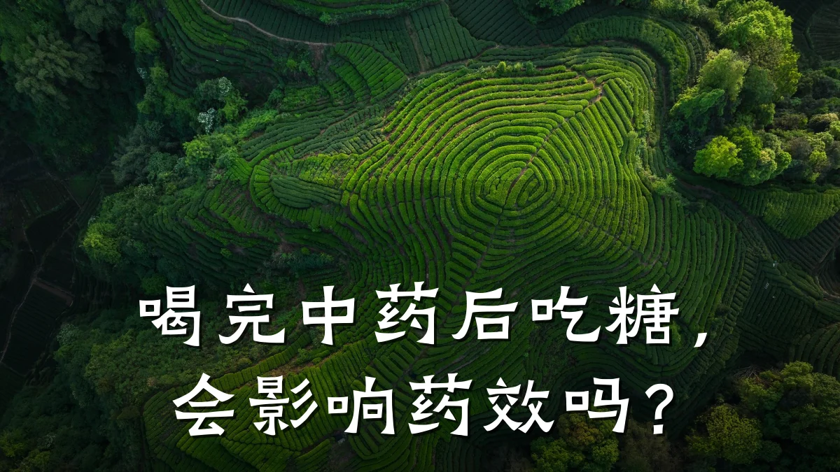 喝完中药后吃糖，会影响药效吗？