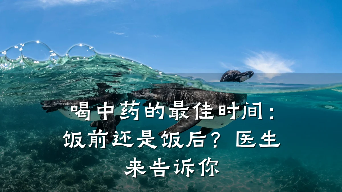 喝中药的最佳时间：饭前还是饭后？医生来告诉你