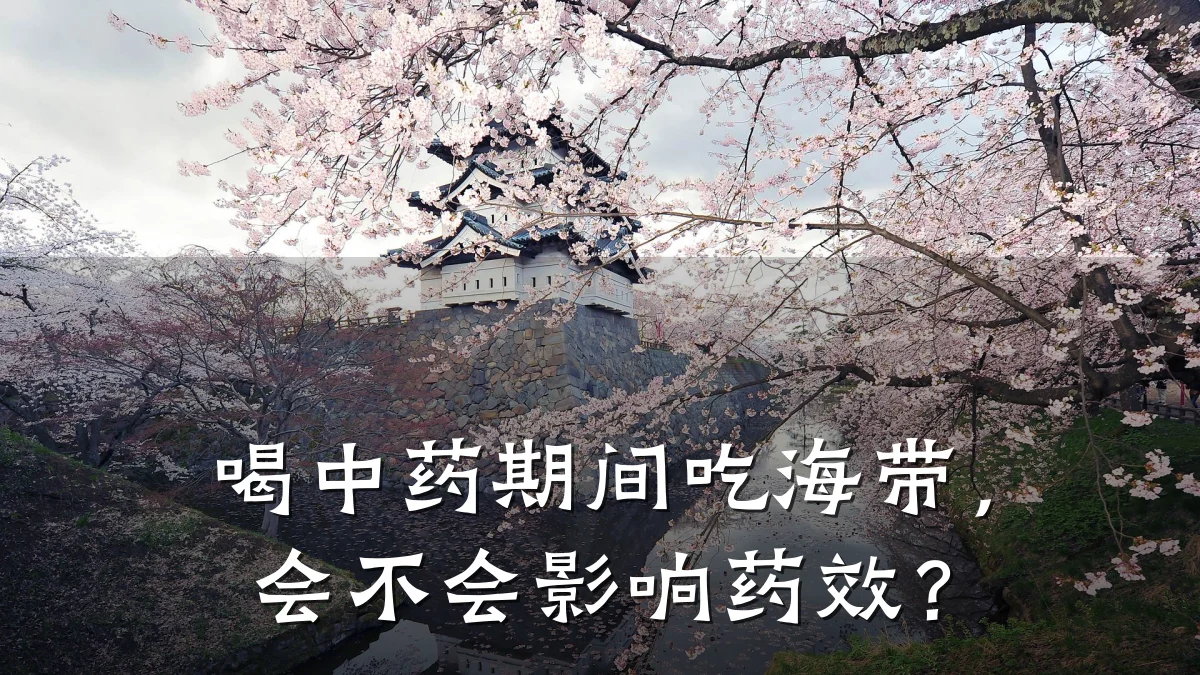 喝中药期间吃海带,会不会影响药效?